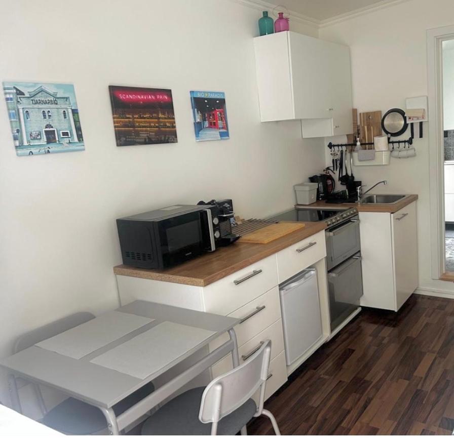 Studio 104- Free Parking Onsite -Private Entrance Reykjavík Kültér fotó